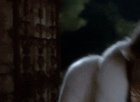 Fur GIF