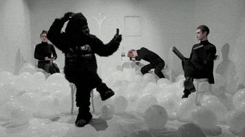 sub pop gorilla GIF by Sub Pop Records