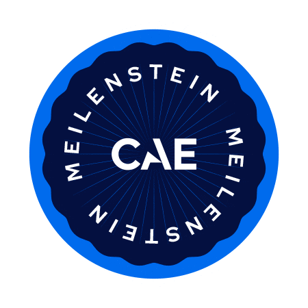 German Deutsch Sticker by CAE