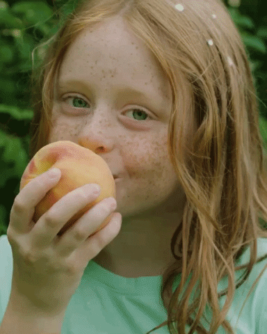 GIF by Tree-Ripe Fruit Co.