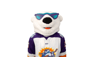 Excited Lets Go Sticker by Orlando Solar Bears