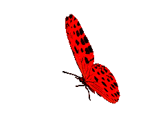 Deryaninhobidunyasi Sticker