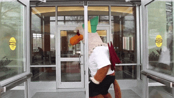 Mascot Griffins GIF by Gwynedd Mercy University
