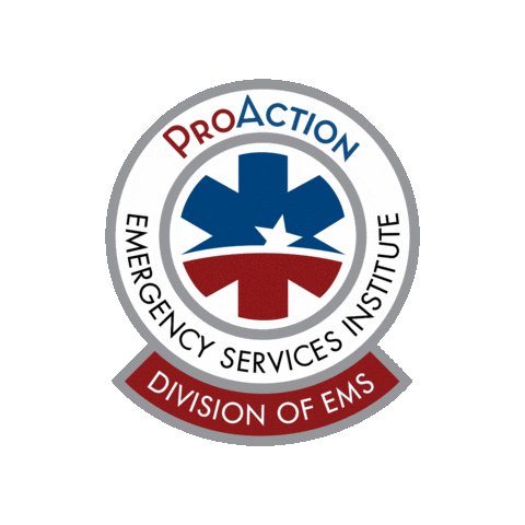 ProAction EMS Sticker