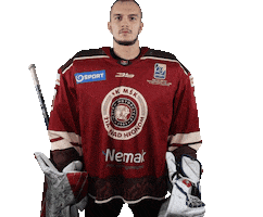 HK MŠK Žiar nad Hronom Sticker