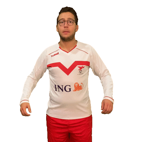 Vogels8 Vogelsacht Sticker by Valleivogels