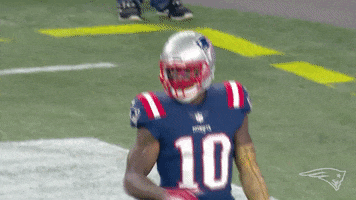 2018 nfl football GIF by New England Patriots