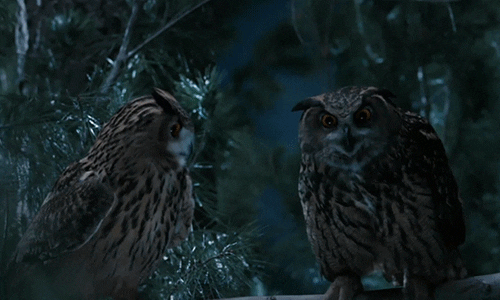 The Martin Agency Insurance GIF by ADWEEK Find &amp; Share