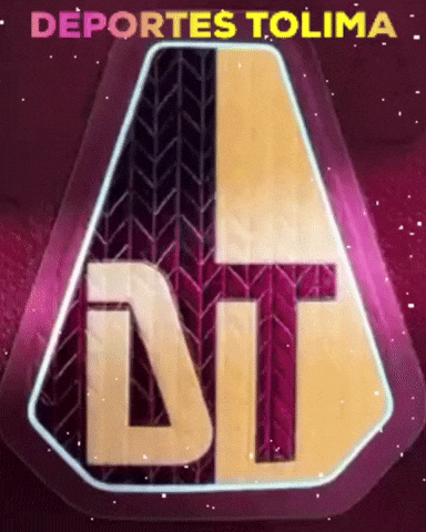 Copa Libertadores Soccer GIF