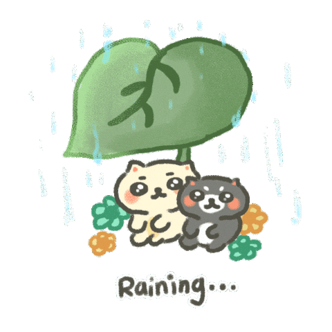 Raining Rainy Day Sticker