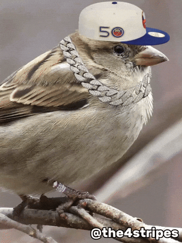 New York Islanders Hockey GIF