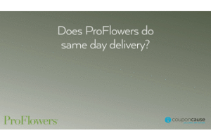 faq proflowers GIF by Coupon Cause