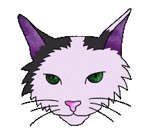 White Cat Sticker by Jasi Gray
