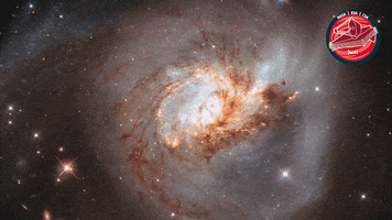 Nasa Universe GIF by ESA Webb Space Telescope