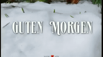 Good Morning Spring GIF