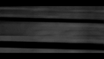 GIF by Catorce Días