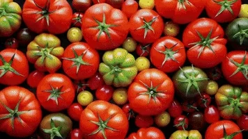 food porn GIF