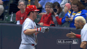 St Louis Cardinals Hug GIF by MLB