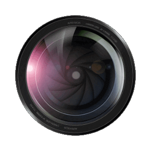 Ali B Photography Sticker