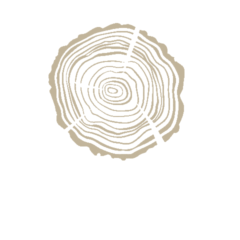 in wood Sticker