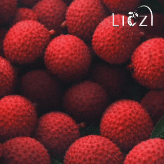 Beauty Manicure GIF