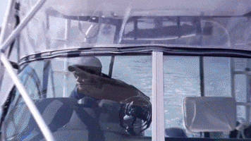 Reeling Yes Please GIF by Nootka Marine Adventures