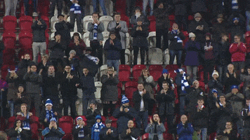 support applause GIF by QPR FC