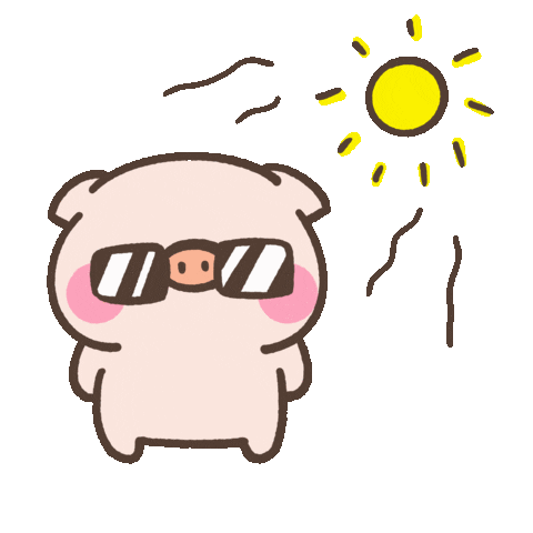 Sun Pig Sticker