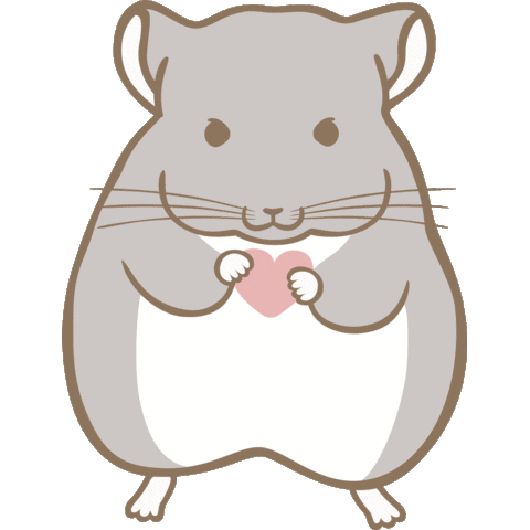 Chinchilla Sticker