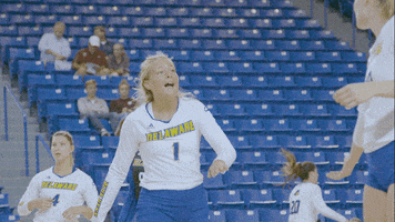 high five ncaa sports GIF by Delaware Blue Hens