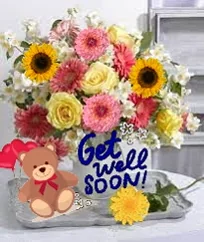 Grow Get Well Soon GIF by The SOL Foundation