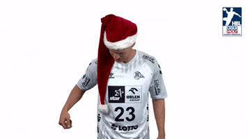 Handball-Bundesliga Christmas GIF by LIQUI MOLY HBL