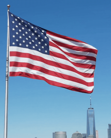 New York Flag GIF