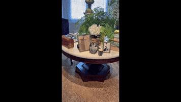 Annaga GIF by SHANNON BALENCIAGA