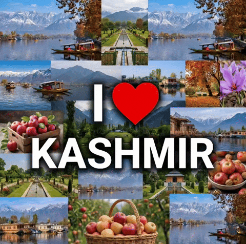 Kashmir GIF