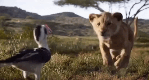 detrás de cámaras hakuna matata el rey león