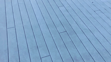 GIF by Imperial College London