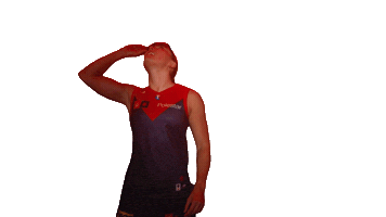 Melbourne Demons Goal Sticker by Melbournefc