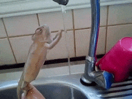 Washing Hand GIFs - Get the best GIF on GIPHY