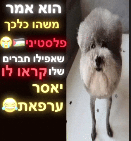 He Made A Statement GIF