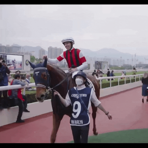Happy Winner GIF by World Horse Racing