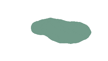 Sugar Cookies Subscription Sticker by The Cookie Boss