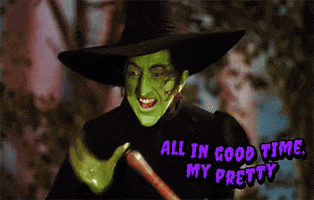 Wizard Of Oz Witch GIF by Chris Cimino
