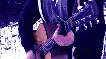 sing acoustic guitar GIF by Pure Noise Records