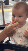 Baby Learns About Limes GIF by ViralHog