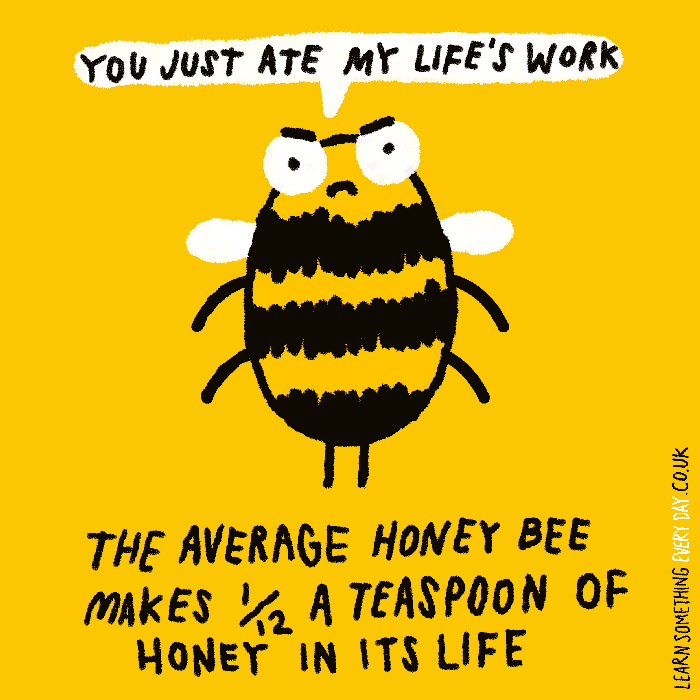 Aww Lol GIF by Learn Something Every Day - Find & Share on GIPHY