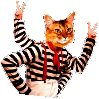 Cat Sticker