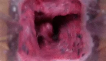 sfdrer4t3e4t5y6