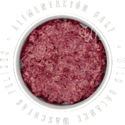 Mascotas Felices Sticker by wildbalance