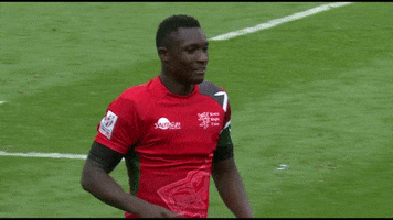 happy sport GIF by World Rugby